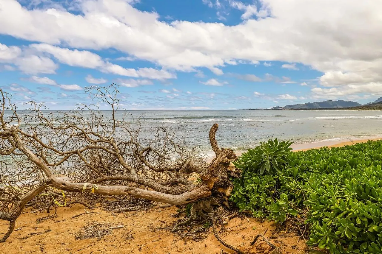 Apartment Islander On The Beach Kapa'a