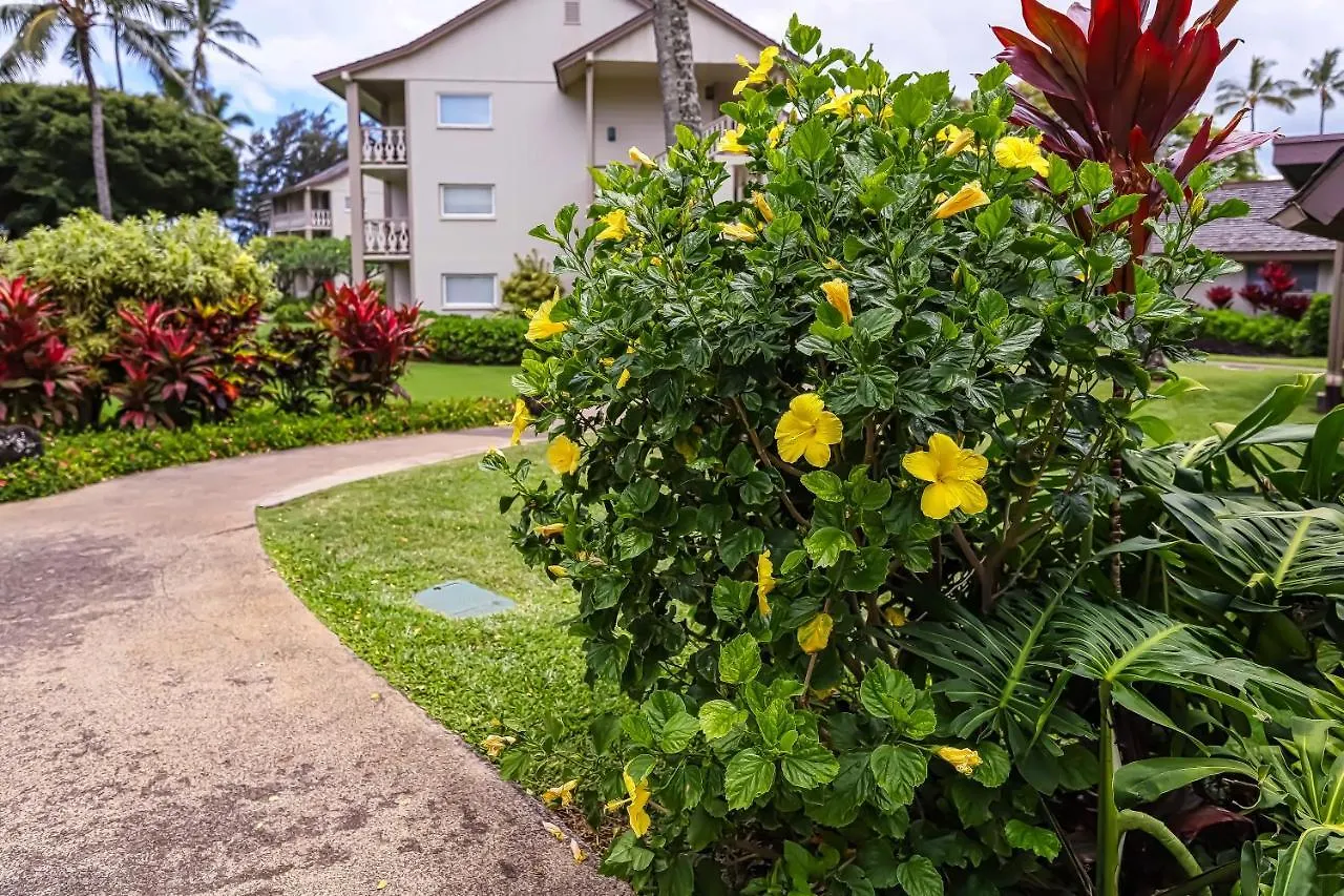 Apartment Islander On The Beach Kapa'a United States